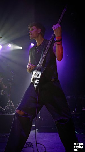 hyla color (13 van 32).jpg