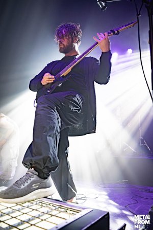 hyla color (20 van 32).jpg