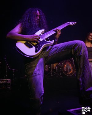 hyla color (31 van 32).jpg