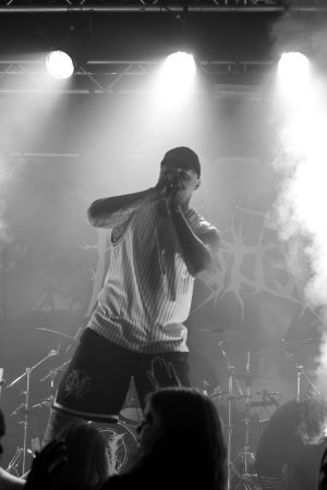 IMG_9449.jpg