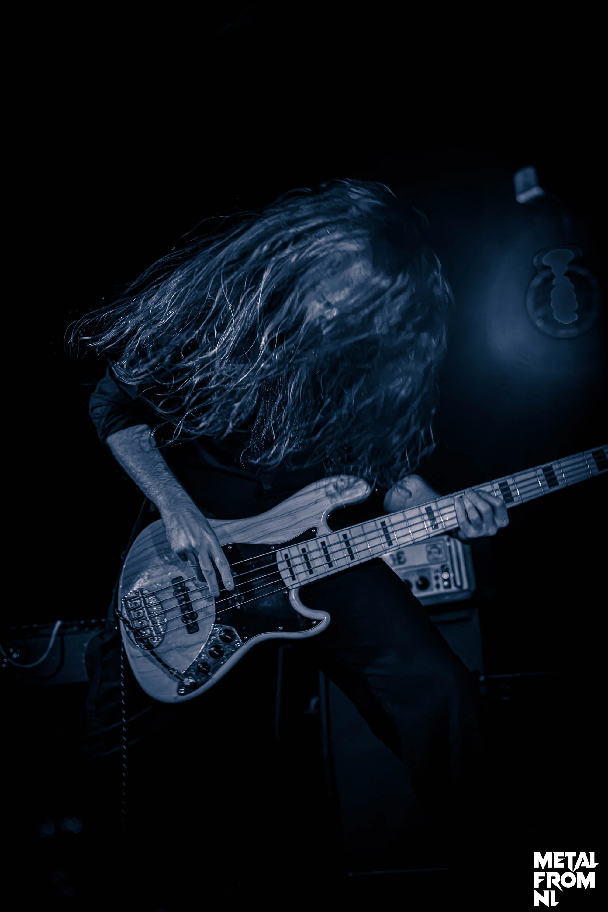 Wildman Metalfest 2026